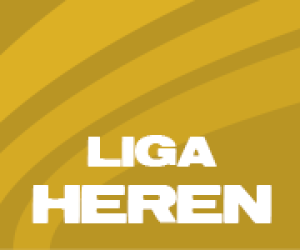 Promotie Liga Heren